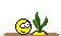 (:rp)